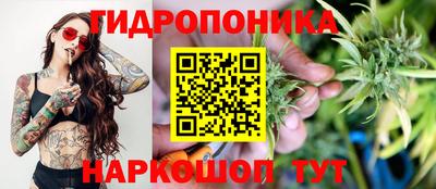 мяу мяу мука Ирбит