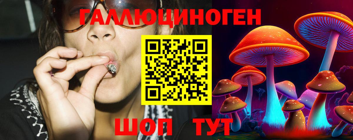 Ковров  Псилоцибиновые грибы Psilocybine cubensis  Галлюциногенные грибы Cubensis  Вход с VPN 